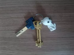 kodama keychain