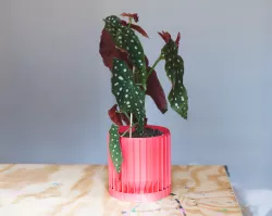 large deco planter lite (vase mode)