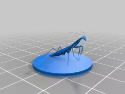 	Mantis