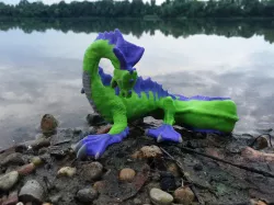 Sea Dragon