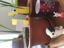 Simple plant marker