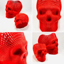 Skull Vase (Remeshed)