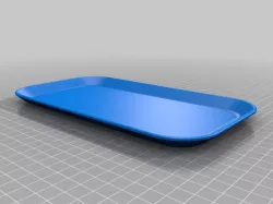 Small Tray