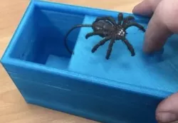 Spider Scare Box