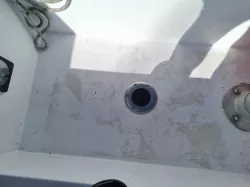 Table Butt Plug