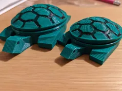 Tortoise holder