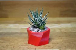Twisted Hexagon Planter