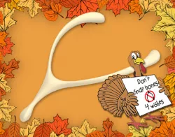 Vegan Wishbone