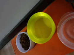 Bird Bowl v2