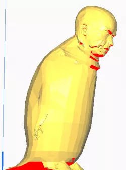 Bird-Man