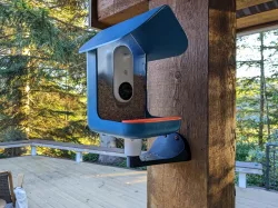 Birdbuddy Wall Mount