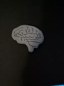 Brain Paperweight