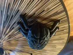 Brain Spider