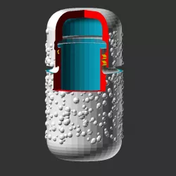 Capsule