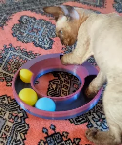 Cat track