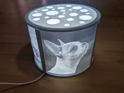 Customizable and modular lithophane lamp