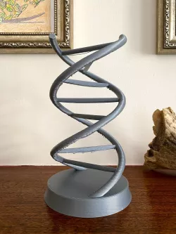 DNA Helix