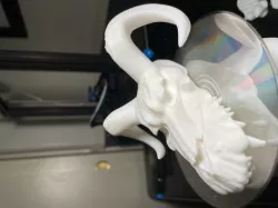 Dragon Skull
