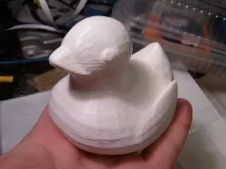 Ducky Swimming - Voice enabled version
