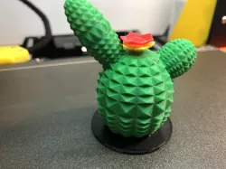 Encanto Cactus