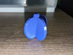 flat pumpkin