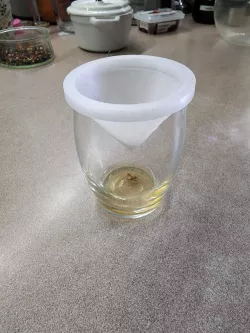 Fly Catcher