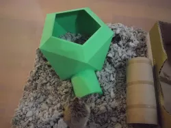 Hamster House