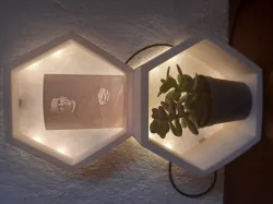 Hexagon Led Flower Pot Lamp Usb Shelf - Lithofanes Visor Led