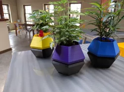 Hexagon Succulent Planter Base
