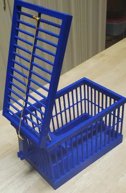 Humane Bird Trap
