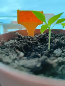 Label holder for plants.