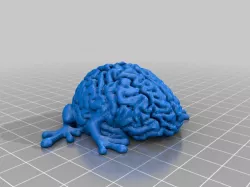 Leaping Brain