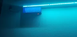 Led Lamp