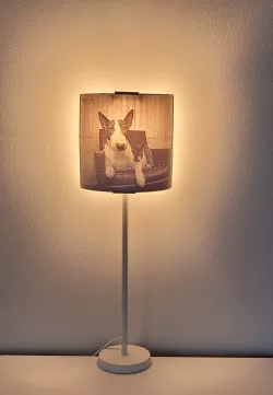 Litho stand wall light / table lamp