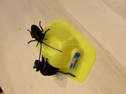 Party hat cockroach bobble head