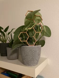 Plant Support / Plant Trellis / Hexagon / Honeycomb