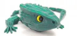 Press In Eyes with pupil for Red-Eyed Crocodile Skink