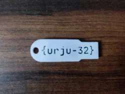 SanDisk Cruzer Blade Case with Name, Capacity & Animated Logo