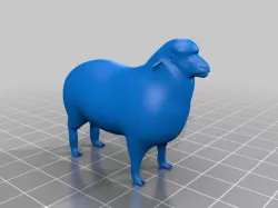 Sheep