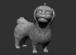 Shih-Tzu