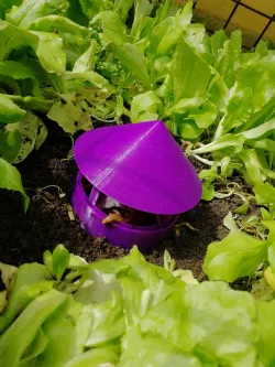 Snail and slug trap
