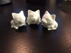 Toad Cat