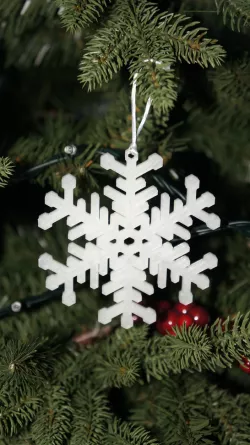 Traditional snowflake