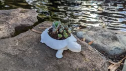 Turtle Planter Pot