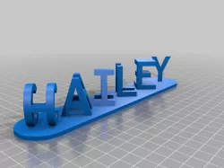 Hailey & Chane Illusion