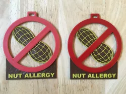 Nut Allergy Pendant