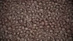 Pile of bloody bones Texture