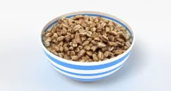 Smacks Cereal 3D model
