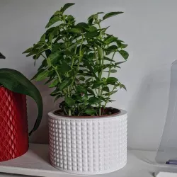 Vase Pot Planter Cachepot 2