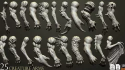 25 Creature arms   3D model